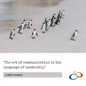 communication and leadership