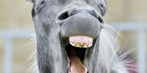 laughter and wellbeing